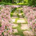ATTGREAT Artificial Flowers Outdoors Faux Plants UV Resistant Fake Flowers Daisy 12 Bundles Plastic Greenery Plnats Outside for Garden Planter Patio Porch Spring Summer Home Home Decor, Pink