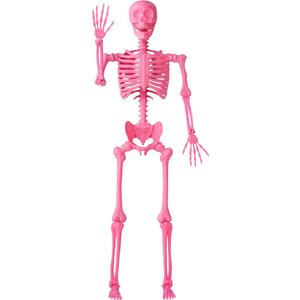 JOYIN 5.6 FT Halloween Posable Skeleton Life Size, Giant Outdoor Yard Skeletons, Pink Plastic Skeleton with Movable Joints for Haunted House Props, Halloween Decorations, Spooky Scary Skeletons Party (Pink) JOYIN 5.6 FT Halloween Posable Skeleton Life Size, Giant Outdoor Yard Skeletons, Pink Plastic Skeleton with Movable Joints for Haunted House Props, Halloween Decorations, Spooky Scary Skeletons Party (Pink)