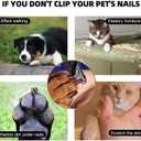 CHARLIE & BUDDY Cat Nail Clipper – Sharp and Durable Nail Clippers for Cats & Dogs, Essential Dog Grooming Tool for Safe and Easy Nail Trimming, Perfect for Cat and Dog Nail Care