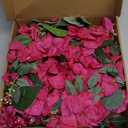 Bougainvillea Wreaths for Front Door Artificial Bougainvillea Faux Silk Bougainvillea Wreath Fake Bougainvillea Flowers for Porch Wedding Home Wall Festival Indoor Outside Decor (Hot Pink)