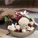 ANDALUCA Maison Box Fragrance Potpourri Decorative Vase & Bowl Filler Home Dcor (Pomegranate Ginger)