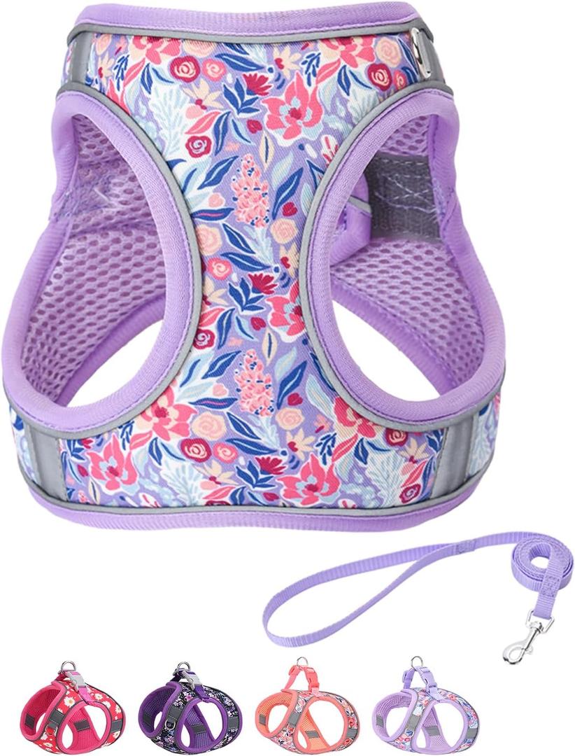 Step in Dog Harness and Leash Set, Flower Adjustable Easy Walk Puppy Harnesses, Soft Mesh Pet Vest Harness Small Size Dog Adjustable No Pull Dog Harness for Small Dogs and Cats(Light Purple, XS)