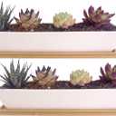 2 pcs 11.1 inch Long Rectangle White Ceramic Succulent Planter Pots/Mini Flower Plant Containers with Bamboo Saucers Plant Window Boxes for Office/Home, 11 x2.28x1.73inch