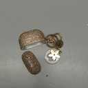 VISOOM Cute Jewelry Case for Airpods 4 Cases 2024 Cover Women, Sparkly Air pods 4 Gen Case Hard TPU Airpod Cases 4th Generation Glitter iPods 4 Cas with Bling Keychain for iPods Earbuds Airpods 4th (J-Champagne Gold)