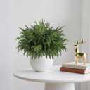 16Pcs Realistic Norfolk Pine Branches -18Inch Artificial Real Touch Christmas Pine Stems Picks Greenery Fake Cedar Pine Branch for Vase DIY Crafts, Xmas Indoor Outdoor Home Decor