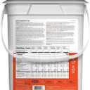 Lunch & Dinner Variety Kit Emergency Food Supply, 113 Servings, 25 Year Shelf Life - Dehydrated Meals, Survival Food Camping Essentials, 4 Gallon Bucket, 208 Ounce (EXP 06/06/50)
