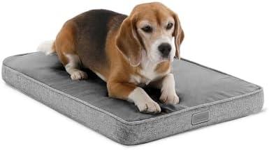 Amazon.com : Diggs Snooz Memory Foam Dog Bed - Ideally Sized Revol Dog Crate Pad - Premium Orthopedic Pet Bed for Crate or Home - Grey, Medium : Pet Supplies