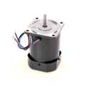 Hoshizaki (HOSHF) Pump Motor