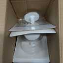 Top Brass Realistic Large Sand Dollar Drawer Pulls/Cabinet Knobs (4 Knob Set) - Screws Included - Beach Ocean Sea Shell Coastal Nautical Decor