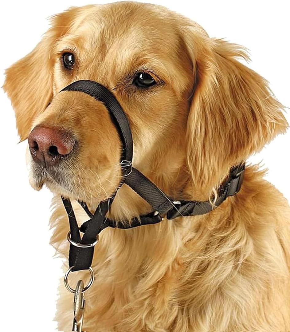 BARKLESS Soft Dog Head Collar, No Pull Training Tool for Medium Large Dogs on Walks, Gentle Halter for Heavy Pullers, Includes A Training Guide (L (Snout Cir: 8.5"-9.5"))