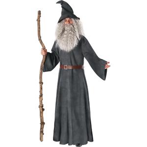 Morph Wizard Costume Men With Wig Warlock Robes Grey Wizard Outfit Adults Halloween Costumes For Men (X-Large)