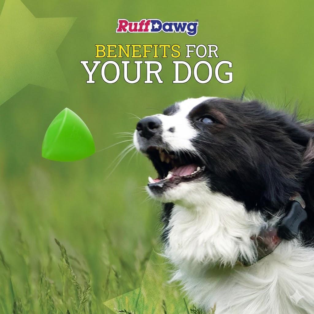 Ruff Dawg Dawg-X  Cone-Shaped Dog Toy  Bouncy, Floating Fetch Toy for Aggressive Chewers  Ideal for Interactive Outdoor Play, Exercise & Teething Relief