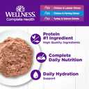 Wellness Complete Health Pate Variety Pack Adult Canned Wet Cat Food, Natural, Protein Rich, Grain Free, Seafood Favorites, 3 oz, Pack of 12 Cans