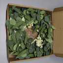 Pinkpum 20'' Eucalyptus Wreath for Front Door, Porch, Window - Green Decor for Home, Farmhouse - Spring, Summer, Fall, All Seasons (White)