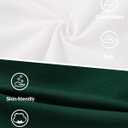 YUEMION Baby Boy Clothes Suit Infant Gentleman Wedding Outfit Formal Dress Shirt+Vest+Tie+Corsage+Pants 5Pcs Tuxedo Set 0-18M (0-3 Months, White and Green)