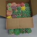 Tiita 24 Set Artificial Faux Succulents in Pots Fake Plants Plastic Arrangement Planter Small Mini Tiny Decoration for Home Office Desk Window Sill Bathroom Bedroom Outdoor Indoor