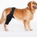 Dog Knee Brace for Torn ACL & Hind Leg Support – Adjustable Dog Hip & Leg Brace for Cruciate Ligament, Arthritis Relief, Joint Stability & Injury Recovery, Color: Black, Size: M
