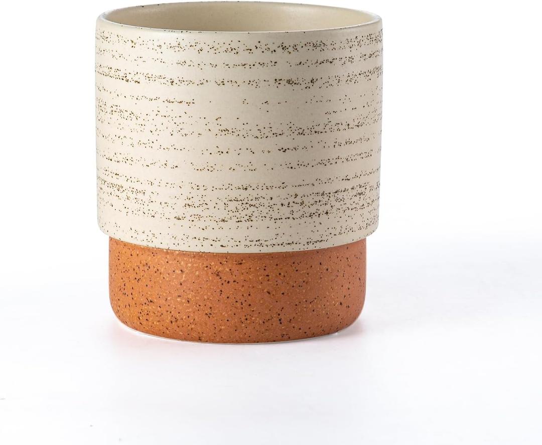 Self Watering Plant Pot: 6 Inch Ceramic Planter with Drainage Hole & Water Storage Plus - Flower Pot for Indoor & Outdoor Plants (Brush, Small)