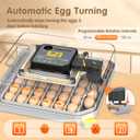 Incubators for Hatching Eggs Egg Incubator for Lab Home Farm with Automatic Egg Turning for Chicken, Ducks, Goose, Quail 48 Eggs
