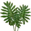 DILATATA 3 Pack Artificial Monstera Leaves with Long Stem for Vase - Fake Tropical Plants Split Palm Leaves Realistic Philodendron Leaves for Home Wedding Party Decor