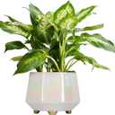 8 Inch Ceramic Planter for Indoor Plants - Plant Pots with Drainage Holes - Modern Minimalist Flower Pot for Succulents and Herbs (White)