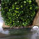 Artificial Boxwood Roll Panels: 6FT X 12FT (72 sqft) UV-Anti Artificial Ivy Privacy Fence Wall Screen for Indoor Outdoor Green Grass Wall Decor & Ivy Fence Covering Privacy