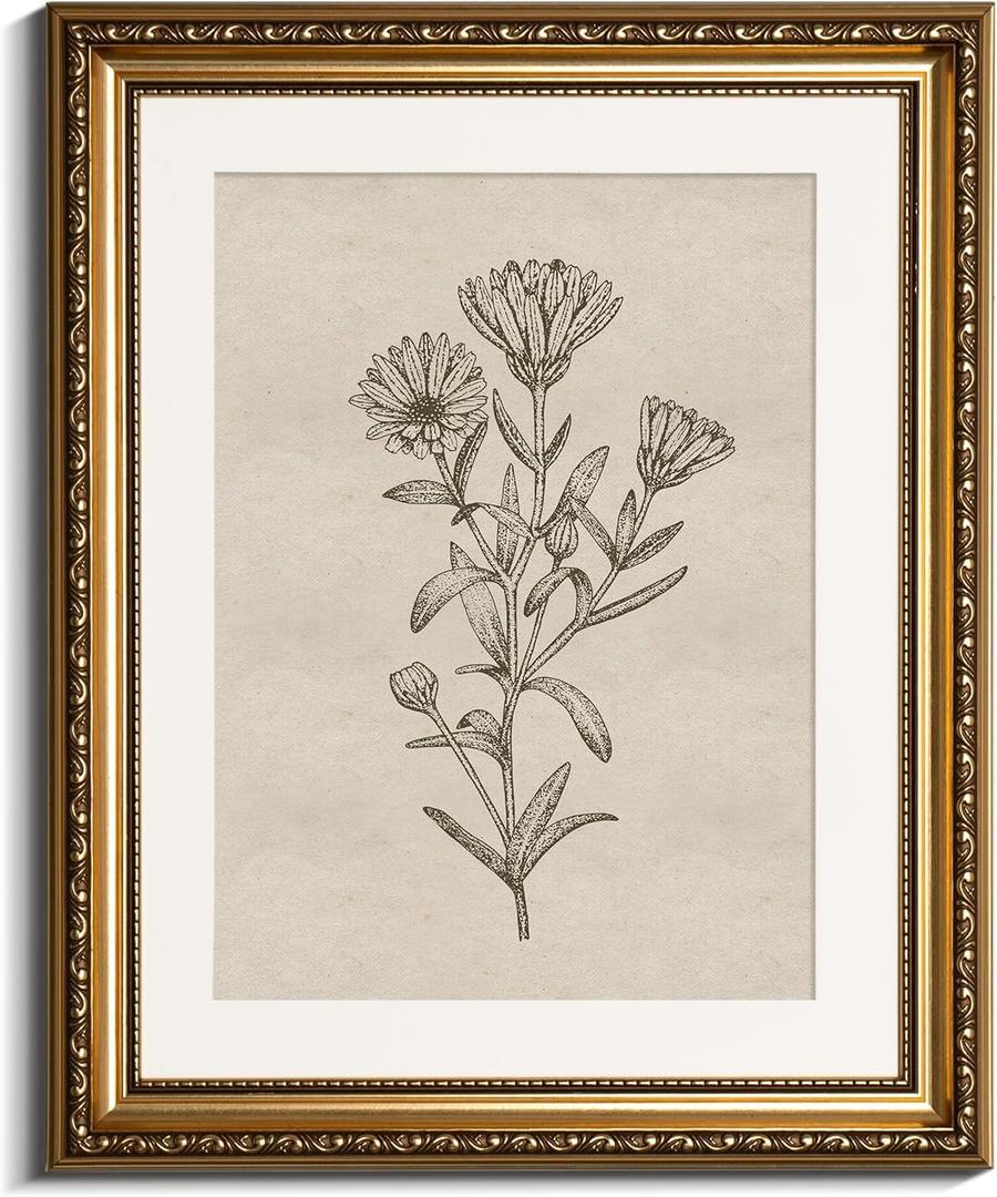 InSimSea Gold Picture Framed Wall Art, Living Room Bathroom Vintage Minimalist Botanical Pictures Wall Decor, Floral Canvas Print Art, Home Farmhouse Decor, Antique Paintings with Frames 13x16inch