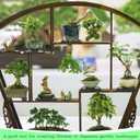 Pinkunn 6 Pcs Bonsai Humidity Tray Rectangular Drip Tray Plastic Plant Water Catcher Plant Saucers for Indoors and Outdoors Cactus,Succulents,Bonsai Tree,Stone Not Included (7.8 x 5.5 Inch)