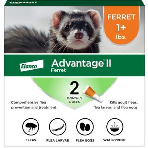 Advantage II Ferret Vet-Recommended Flea Treatment & Prevention | Ferret 1+ lbs. | 2-Month Supply