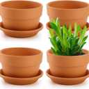 Suwimut 4 Pack Terracotta Pots with Saucer, 6 Inch Large Terra Cotta Plant Pot with Drainage Hole, Clay Flower Planter Pot with Tray for Indoor Outdoor Plant