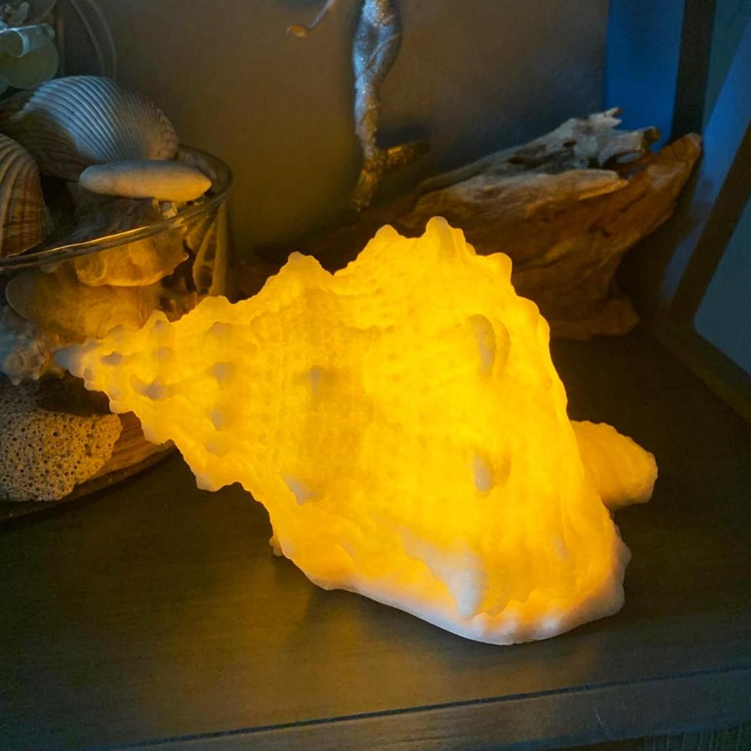 Conch Shell Night Light-Battery Powered LED Night Light for Kids Room, Auto Off Timer, Adults Bedroom Decor Nautical Lighting, Beach Themed Lamp Suitable for Baby Nursery, Home Ocean-Nightstand Decor