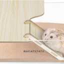 BUCATSTATE Hamster Sand Bath Container with Ladder - Acrylic Shower and Digging Room Litter Box for Mice Lemming Gerbils Small Animal (Rectangle Shaped)
