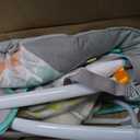Bright Starts Whimsical Wild Portable Baby Swing, Newborn to 9 Months