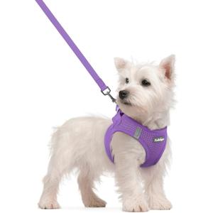 Rabbitgoo Dog Harness Small Sized and Leash Set, Step in Soft Light Puppy Vest, Breathable Mesh Pet Harness, Reflective for Safe Outdoor Walking, Purple S