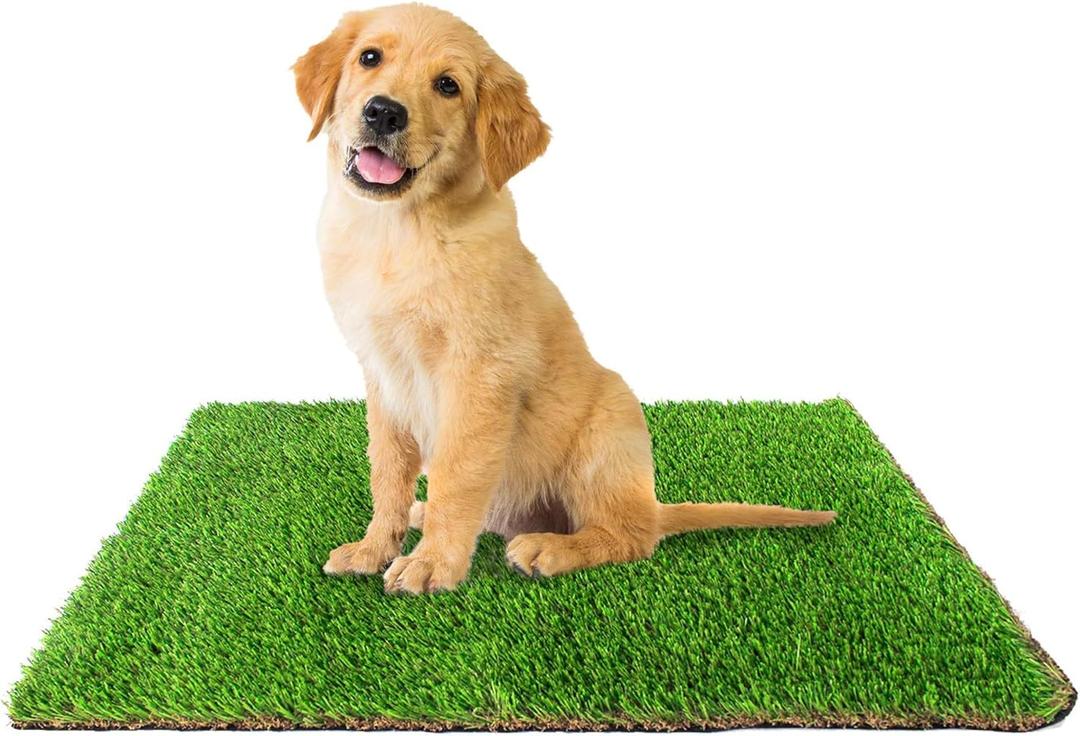 Downtown Pet Supply Replacement Dog Potty Grass, 16 x 20 - Washable Synthetic Grass Pad for Dogs, Suitable as Indoor or Outdoor Grass Pee Turf - Dog Housebreaking Supplies