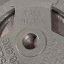 Fitvids Cast Iron Plate Weight Plate for Strength Training and Weightlifting, 2-Inch Center, 45LB (Single)
