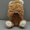 Hopearl Peek A Boo Bear Interactive Repeats What You Say Plush Teddy Bear Toy Musical Singing Talking Stuffed Animal Adorable Electric Animate Gift for Toddlers, Brown, 11''