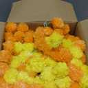 Fovths 5 Pieces 5 Feet Long Marigold Garland Bulk Light Orange and Golden Yellow Indian American Wedding Party Mantel Decoration Long Strands Artificial Dia De Los Muertos Decor for Pooja, Diwali