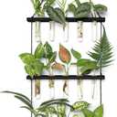 Mkono 3 Tiered Wall Hanging Plant Terrarium with Wooden Stand Mini Test Tube Flower Vase Glass Planter for Hydroponic Plant Cutting Home Garden Office Decor Gift (Medium, Black)