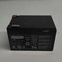 Peg Perego 12V Battery, 2428RT