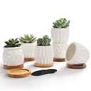 B SEPOR Ceramic Planters Handmade Mini Clay Flower Pot for Small Indoor Plant Succulent Cactus with Melamine Saucer Tray (Terracotta) (White Owls)