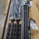 ZINUS Lorelei 14 Inch Metal Platform Bed Frame, Mattress Foundation with Steel Slat Support, No Box Spring Needed, Easy Assembly, Queen, Black