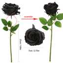 Felice Arts 12 Pack Black Roses Artificial Flowers with Black Stems Silk Roses Fake Flowers Bouquet for Halloween Centerpiece Table Vase Home Inddor Kitchen Party DIY Decor