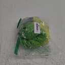 unitop Men's Swim Trunks Beachwear Quick Dry Hawaiian Printed 30