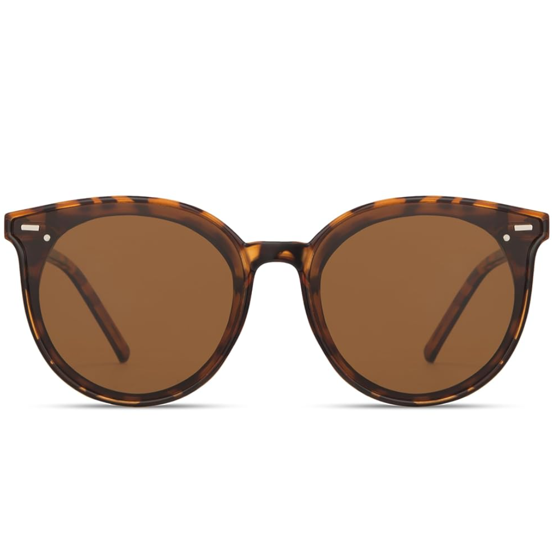 Livho Polarized Sunglasses, Retro & Oversized Shades for Women with Round Lenses