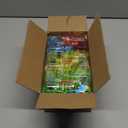 24 Pcs Mini Water Gun for Kids, Color Small Squirt Water Guns, Plastic Blasters for Beach Swimming Pool Toys, Summer Theme Party Favors, Outdoor Water Fighting Games Prop