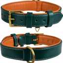 Genuine Leather Dog Collar 1" Wide Full Grain, Padded, Heavy Duty with Brass Buckle for Dogs (Medium (Fit Neck Size 14.5"-18.5"), Teal Green)