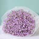 MARTINE MALL Babys Breath Artificial Flowers, 10 PCS Purple Baby Breath Flowers Artificial Bulk, Fake Babys Breath Gypsophila Real Touch Faux Babys Breath for Wedding Floral Arrangement Home Decor