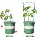 Plant Support Cages for Climbing Plant Upgrade Flower Tomato cage with Stand Stakes and Stable Support Rings, 3 Pack with 12 Clips (36")