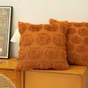 Pumpkin Fall Decorative Throw Pillow Covers 18"x18", Set of 2 Orange Soft Faux Fur Pillow Covers for Autumn Harvest, Fluffy Plush Accent Pillow Cases for Farmhouse Couch Cushion Covers